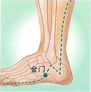 金門穴功效|人體穴位大全——金門穴：頭痛、小兒驚風、腰痛、下肢痿痹